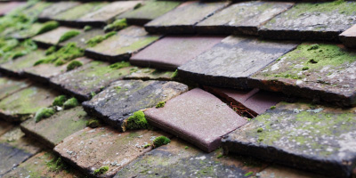 Histon roof repair costs
